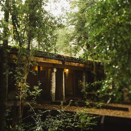 Huilo Huilo Nawelpi Lodge Puerto Fuy Εξωτερικό φωτογραφία